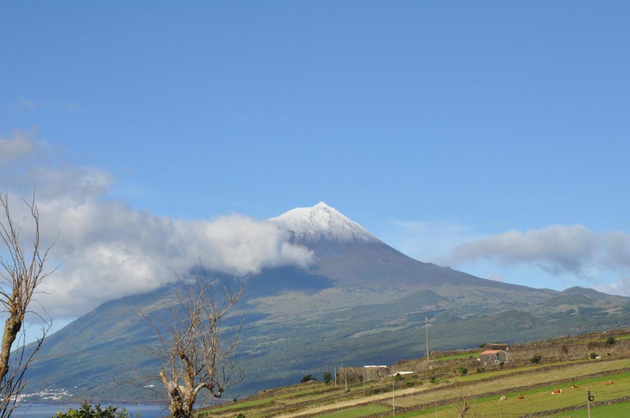 Casa Da Abrotea Villa Lajes do Pico Exteriör bild