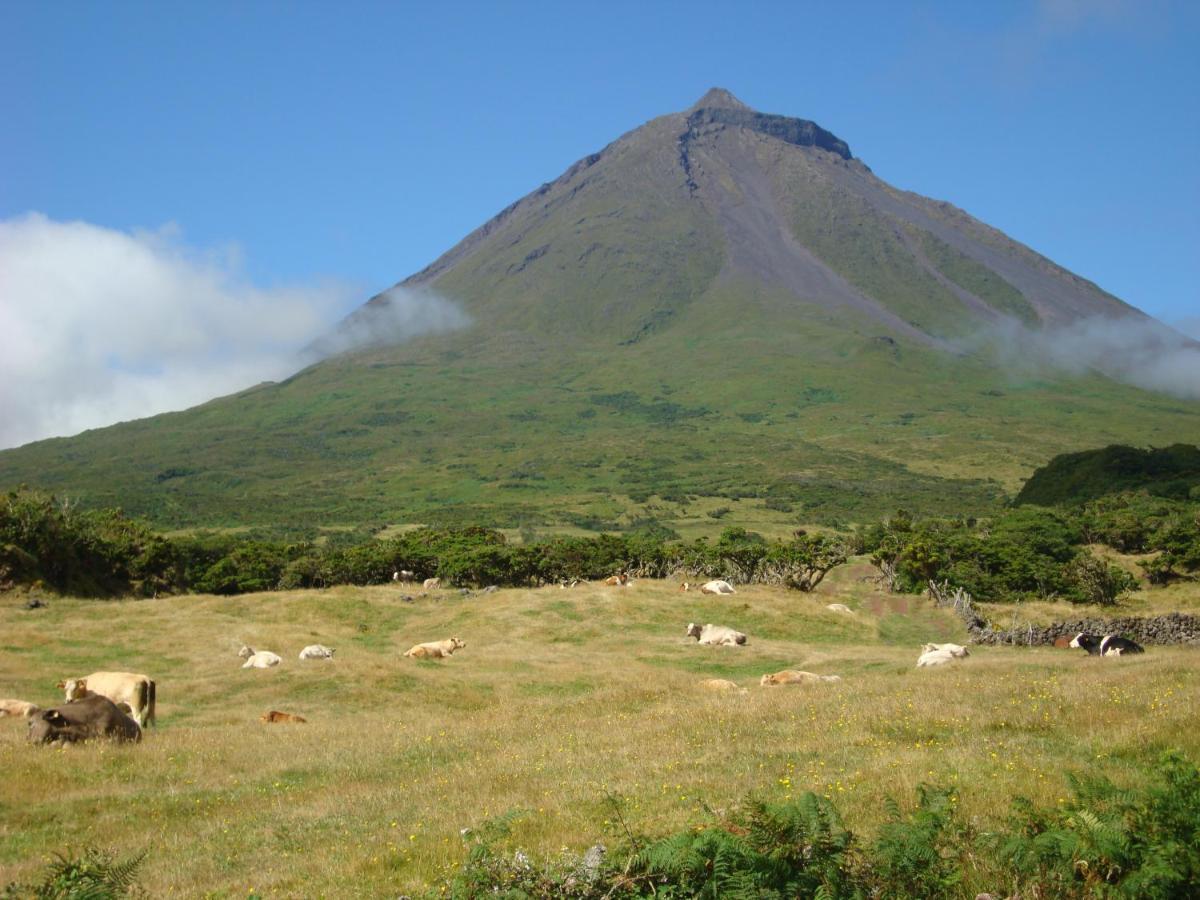 Casa Da Abrotea Villa Lajes do Pico Exteriör bild